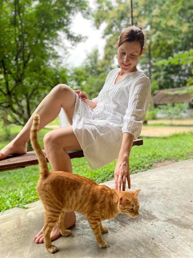 La Maison - Chiangmai Mae Taeng Luaran gambar