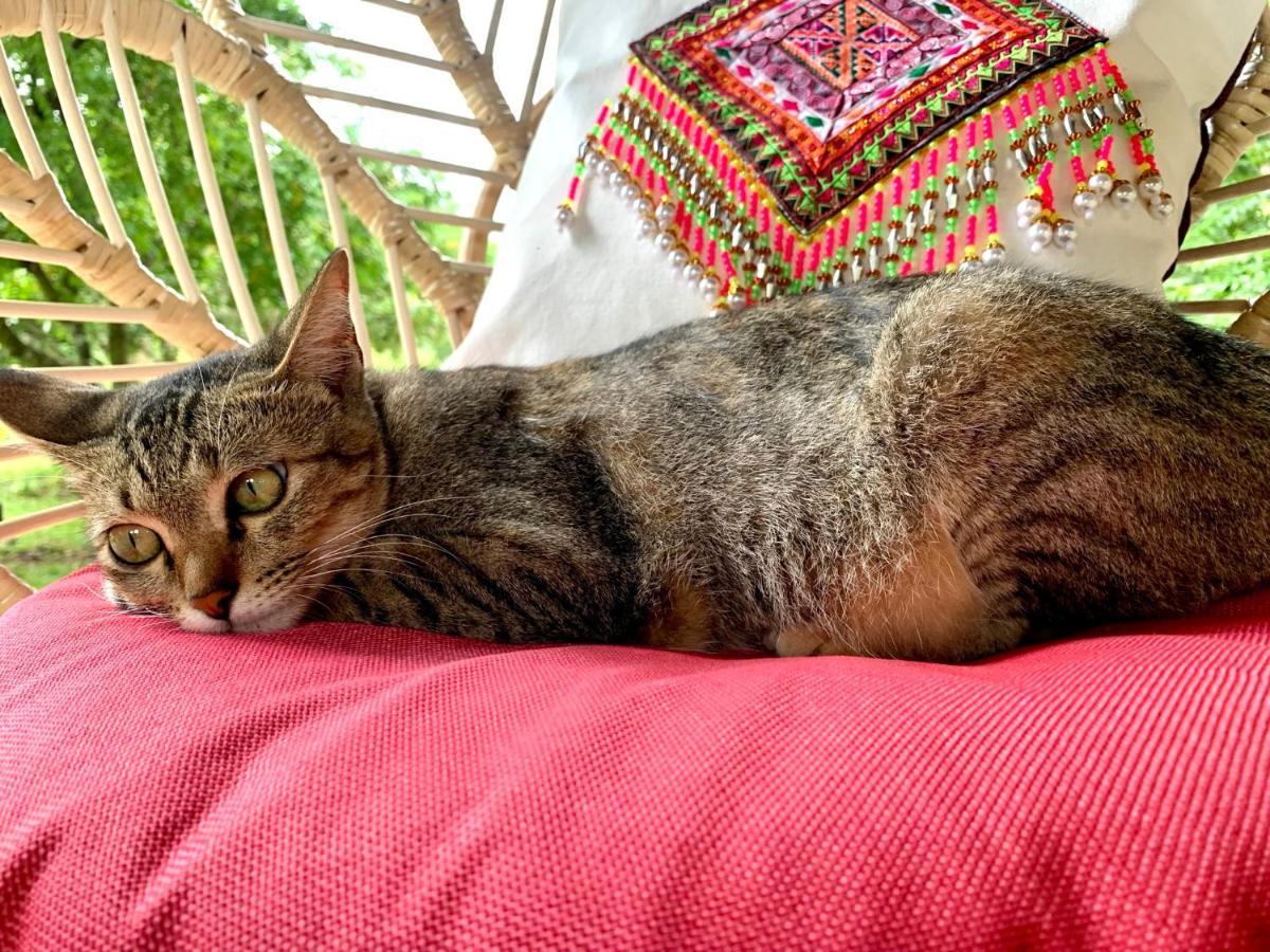 La Maison - Chiangmai Mae Taeng Luaran gambar