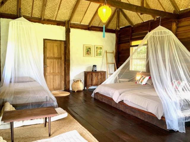 La Maison - Chiangmai Mae Taeng Luaran gambar